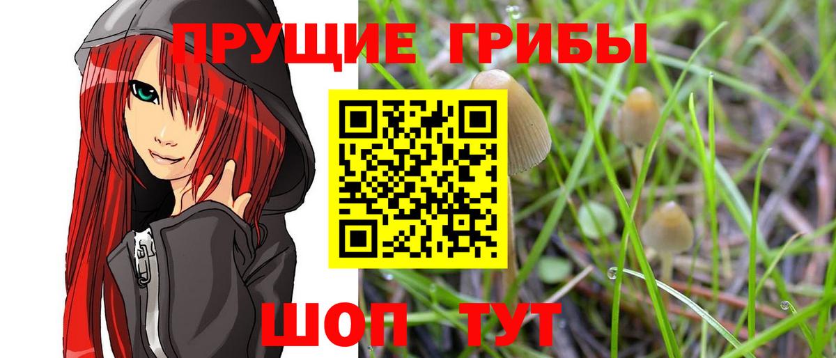 Хабаровск  Псилоцибиновые грибы ЛСД  Вход с VPN 
